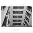 PLUIT
