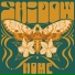 SHIDOW