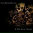 Torn From Beyond