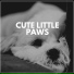 Dog Sleep Academy