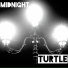 Turtle Dj