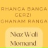 Niaz Wali Momand