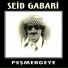Seid Gabari