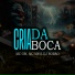 Mc Gw, Mc Mn, DJ Robão
