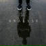 Analyse