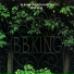 B.B. King