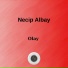 Necip Albay