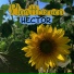 Planttronica