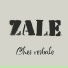Zale feat. Vlad Dobrescu