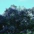 KsureN