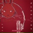 jay rabbit