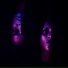 denitia and sene.