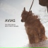 Avias