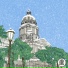 Cvsket Pretty