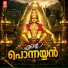 Narayan Krishna