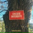 Princesse Basalte