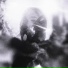 FANAVIO