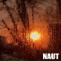 Naut