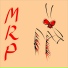 Mantoptera