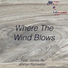 Stories of Echoes feat. Kenan Rainwater