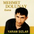 Mehmet Dolunay