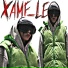 XAMF le