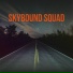 SKYBOUND SQUAD