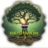 CHAMNAN BHU-EIAM