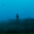 .diedlonely