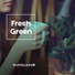 Fresh Green