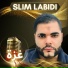Slim Labidi