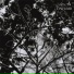 Das Limb