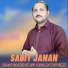 Sabit janan