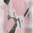 aizuu