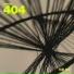 Taxi 404