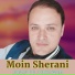 Moin Sherani
