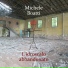 Michele Boatti