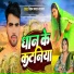 Vikram Bawal Narayan