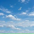 Песни Павловых