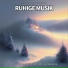 Lernmusik, Entspannungsmusik, Schlafmusik