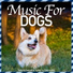 Relax My Dog, Dog Music Dreams