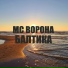 МС ВОРОНА