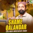 Sajjad Hussain Saqi