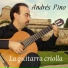 Andrés Pino Guitarra