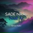 Salman Haider