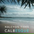 Calbesque feat. Alexander Nettelbeck
