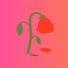 Samuel neves music