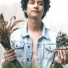 Jigo Viriña