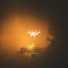 Ellaya [drivemusic.me]