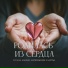 Руслан Алехно, Материнское Счастье